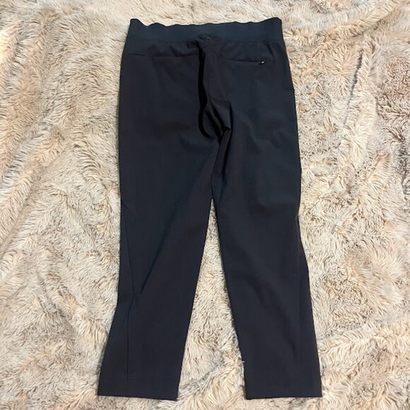 NEW Prana Hybridizer Pant Small - Picture 3 of 4